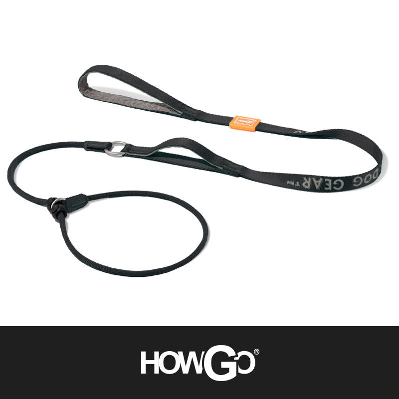 Slip Lead Dog Leash for Training