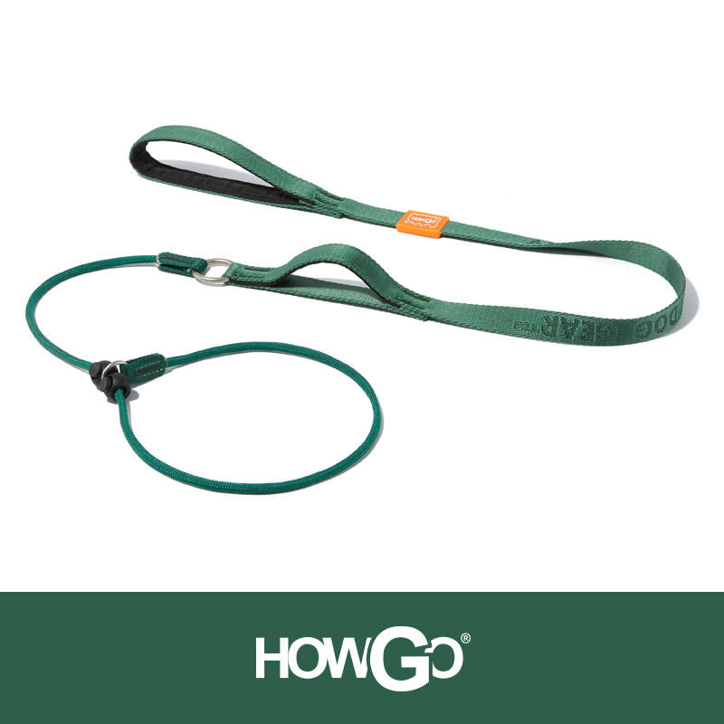 Slip Lead Dog Leash for Training