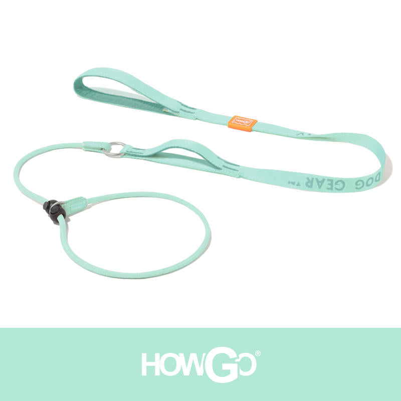 Slip Lead Dog Leash for Training