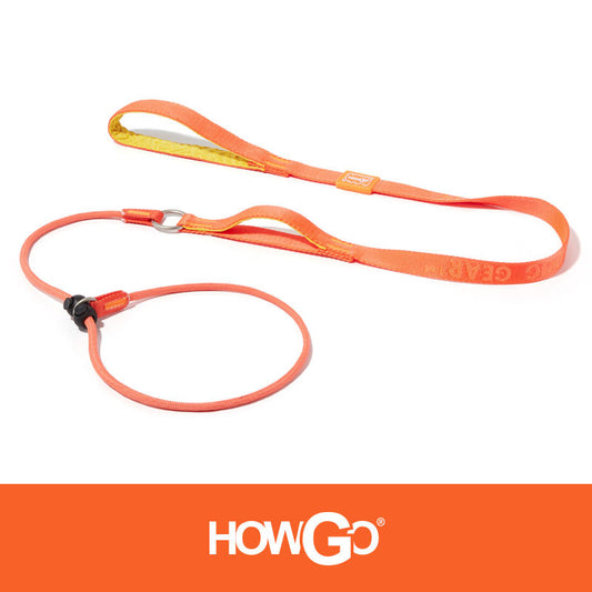 Slip Lead Dog Leash for Training