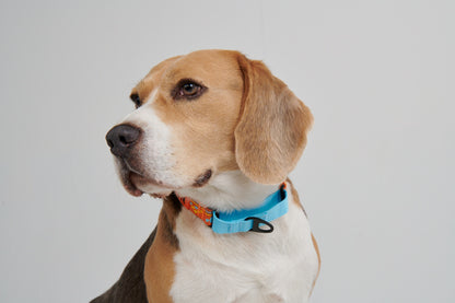 Chain Reaction Dog Collar - MARTINGALE DESIGN (Holiday Series)