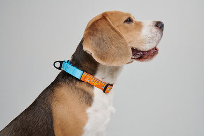 Chain Reaction Dog Collar - MARTINGALE DESIGN (Holiday Series)