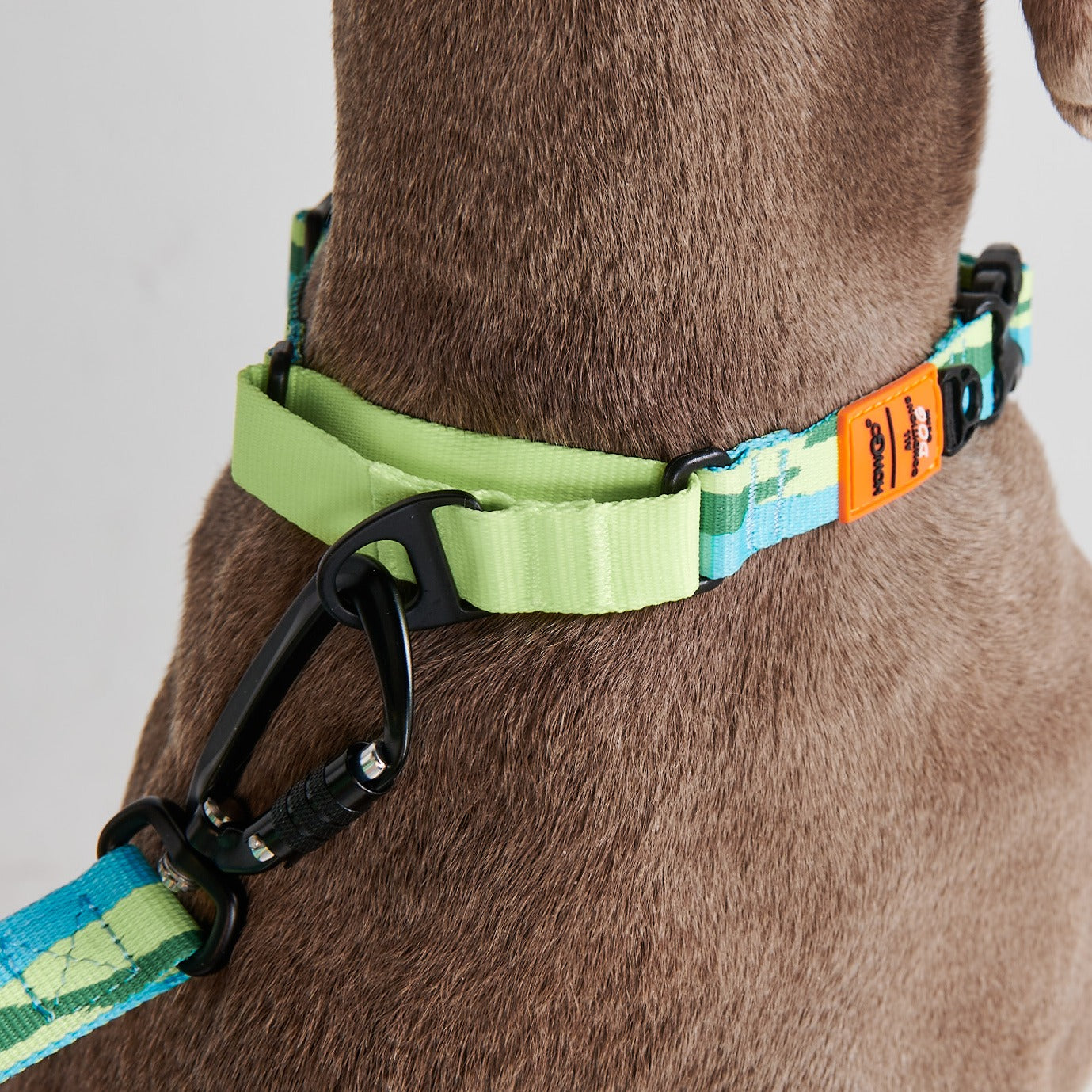 Chain Reaction Dog Collar - MARTINGALE DESIGN (Holiday Series)