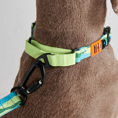 Chain Reaction Dog Collar - MARTINGALE DESIGN (Holiday Series)